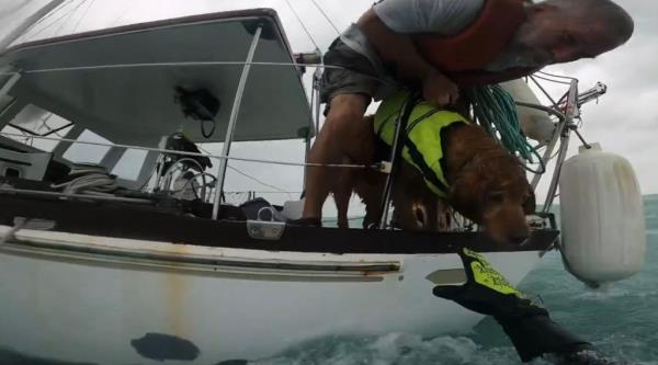 The dog and his owner were saved in the dramatic rescue mission before Hurricane Helene made landfall in Florida.
