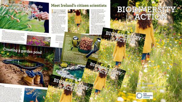 Flick through the 32 colourful pages of 'Biodiversity in Action'